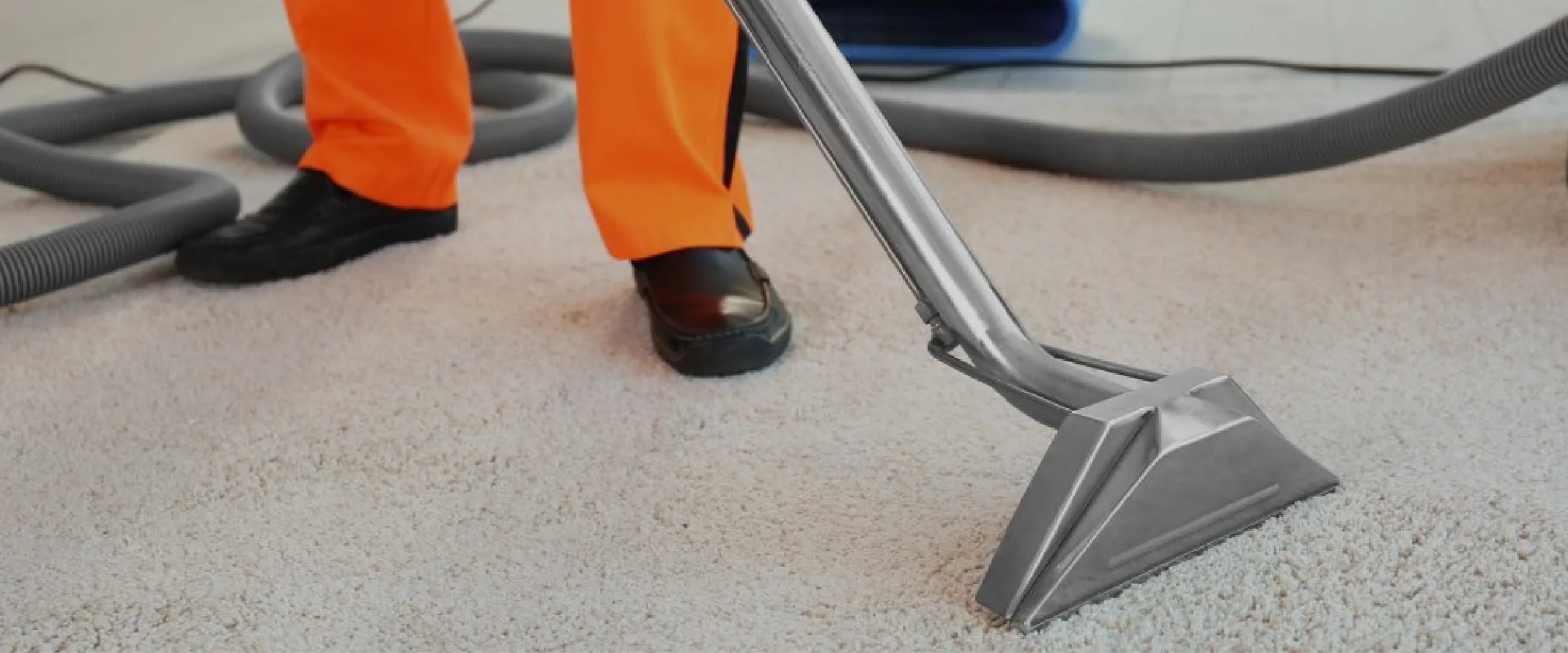 carpet cleaning in the westchester, carpet cleaning in the westchester, carpet cleaning the westchester, carpet cleaners in the westchester, carpet cleaners in the westchester, commercial carpet cleaning, commercial carpet cleaning in the westchester, the westchester rug cleaners, rug cleaning services in the westchester, same day carpet cleaning, same day rug cleaning