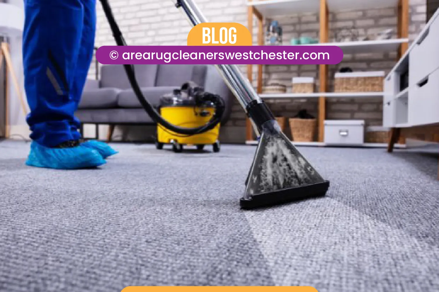 carpet cleaning in the westchester, carpet cleaning in the westchester, carpet cleaning the westchester, carpet cleaners in the westchester, carpet cleaners in the westchester, commercial carpet cleaning, commercial carpet cleaning in the westchester, the westchester rug cleaners, rug cleaning services in the westchester, same day carpet cleaning, same day rug cleaning