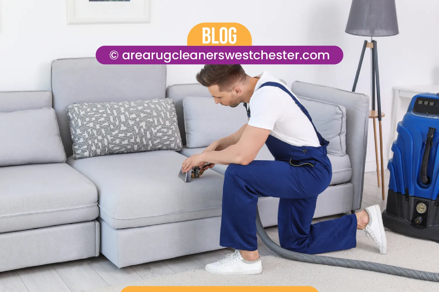 carpet cleaning in the westchester, carpet cleaning in the westchester, carpet cleaning the westchester, carpet cleaners in the westchester, carpet cleaners in the westchester, commercial carpet cleaning, commercial carpet cleaning in the westchester, the westchester rug cleaners, rug cleaning services in the westchester, same day carpet cleaning, same day rug cleaning