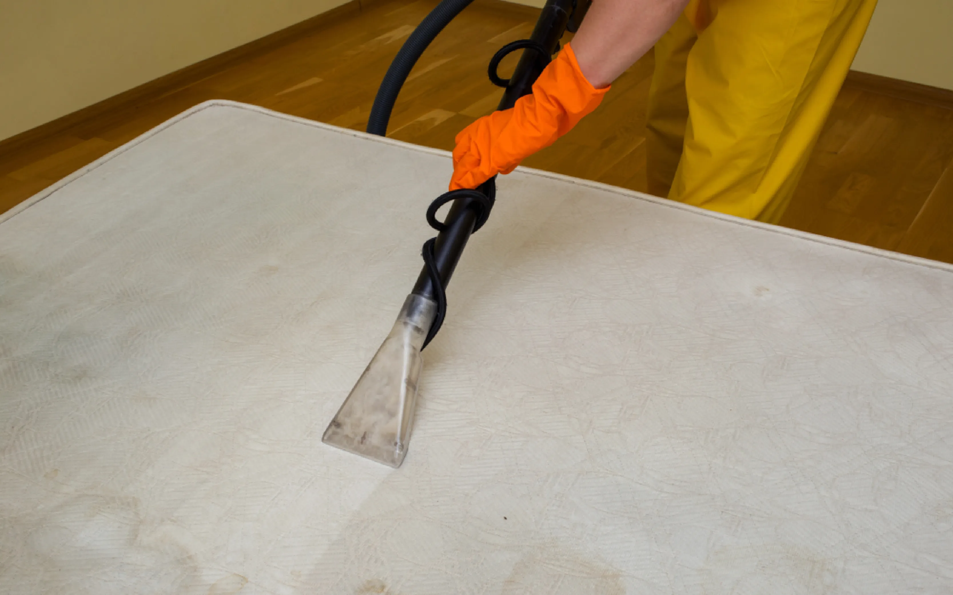 carpet cleaning in the westchester, carpet cleaning in the westchester, carpet cleaning the westchester, carpet cleaners in the westchester, carpet cleaners in the westchester, commercial carpet cleaning, commercial carpet cleaning in the westchester, the westchester rug cleaners, rug cleaning services in the westchester, same day carpet cleaning, same day rug cleaning