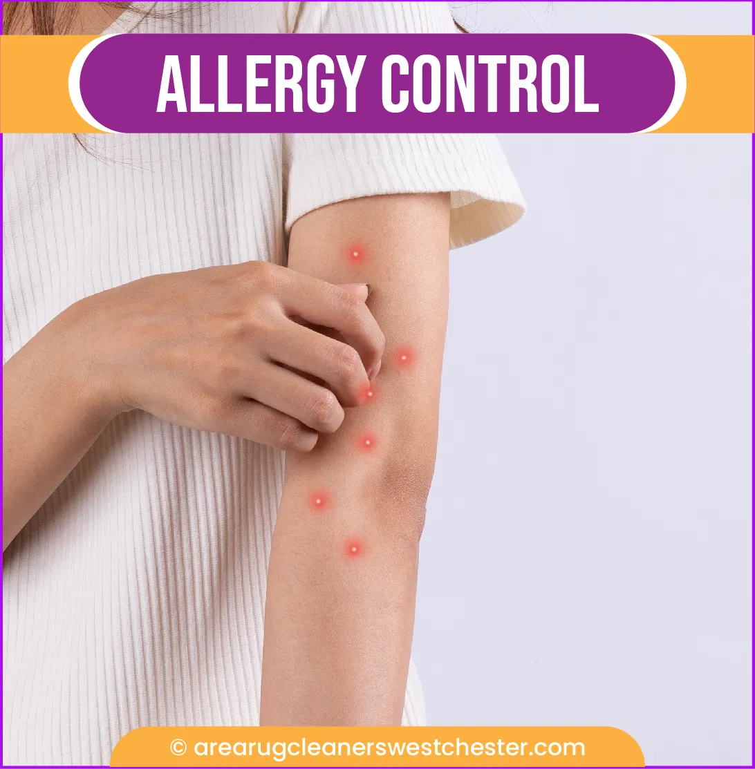 carpet cleaning in the westchester, carpet cleaning in the westchester, carpet cleaning the westchester, carpet cleaners in the westchester, carpet cleaners in the westchester, commercial carpet cleaning, commercial carpet cleaning in the westchester, the westchester rug cleaners, rug cleaning services in the westchester, same day carpet cleaning, same day rug cleaning