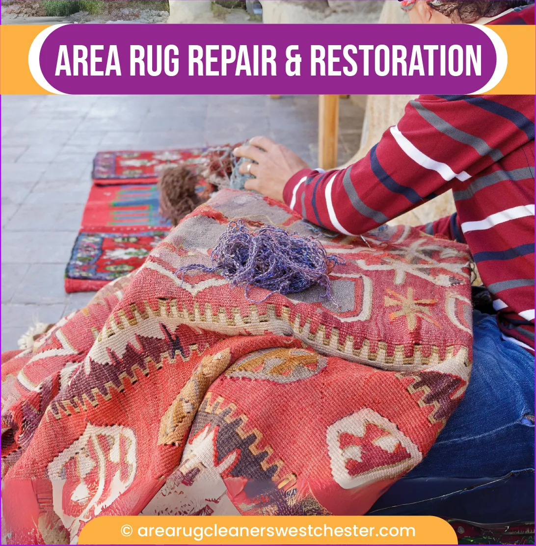 carpet cleaning in the westchester, carpet cleaning in the westchester, carpet cleaning the westchester, carpet cleaners in the westchester, carpet cleaners in the westchester, commercial carpet cleaning, commercial carpet cleaning in the westchester, the westchester rug cleaners, rug cleaning services in the westchester, same day carpet cleaning, same day rug cleaning