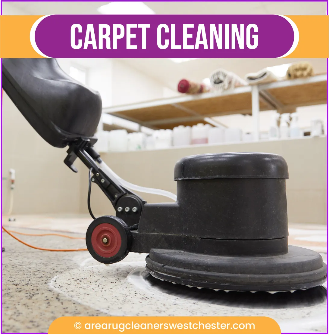 carpet cleaning in the westchester, carpet cleaning in the westchester, carpet cleaning the westchester, carpet cleaners in the westchester, carpet cleaners in the westchester, commercial carpet cleaning, commercial carpet cleaning in the westchester, the westchester rug cleaners, rug cleaning services in the westchester, same day carpet cleaning, same day rug cleaning