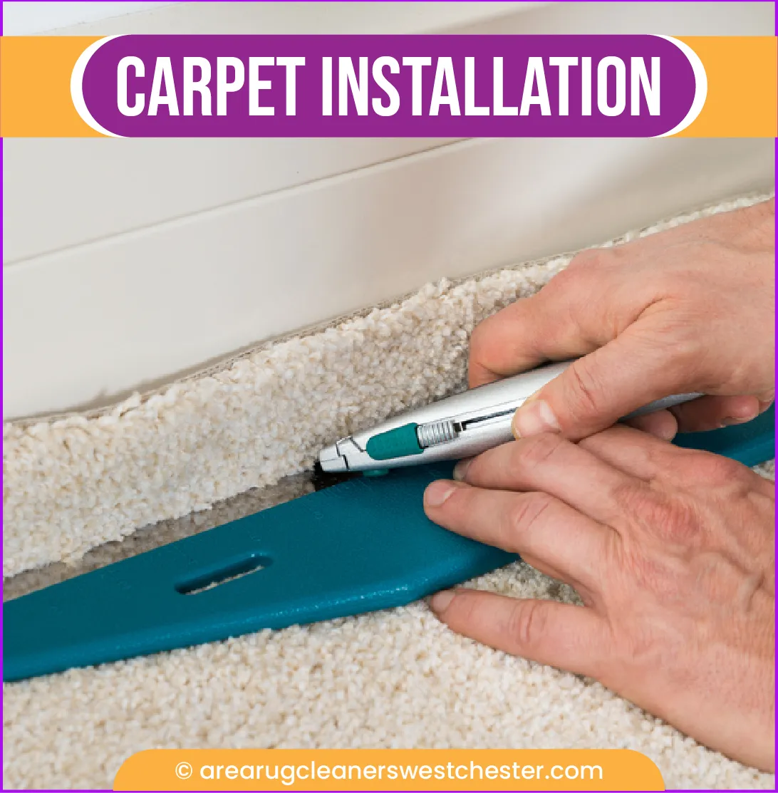 carpet cleaning in the westchester, carpet cleaning in the westchester, carpet cleaning the westchester, carpet cleaners in the westchester, carpet cleaners in the westchester, commercial carpet cleaning, commercial carpet cleaning in the westchester, the westchester rug cleaners, rug cleaning services in the westchester, same day carpet cleaning, same day rug cleaning