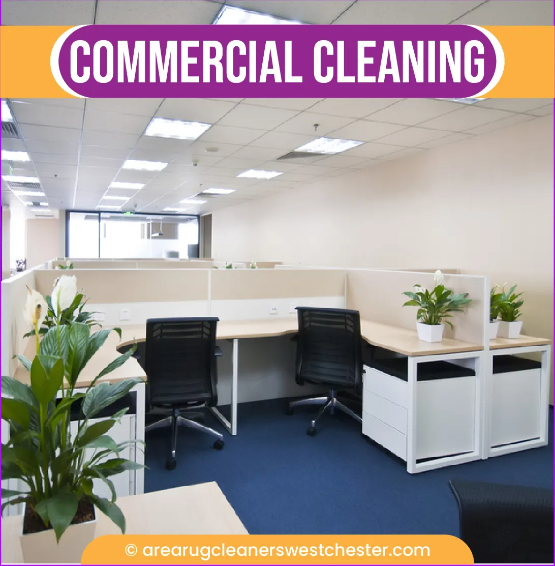 carpet cleaning in the westchester, carpet cleaning in the westchester, carpet cleaning the westchester, carpet cleaners in the westchester, carpet cleaners in the westchester, commercial carpet cleaning, commercial carpet cleaning in the westchester, the westchester rug cleaners, rug cleaning services in the westchester, same day carpet cleaning, same day rug cleaning