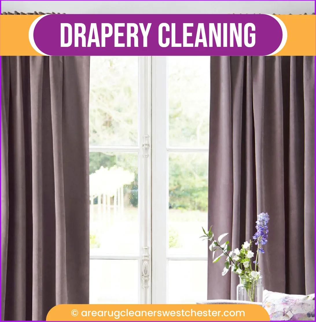 carpet cleaning in the westchester, carpet cleaning in the westchester, carpet cleaning the westchester, carpet cleaners in the westchester, carpet cleaners in the westchester, commercial carpet cleaning, commercial carpet cleaning in the westchester, the westchester rug cleaners, rug cleaning services in the westchester, same day carpet cleaning, same day rug cleaning