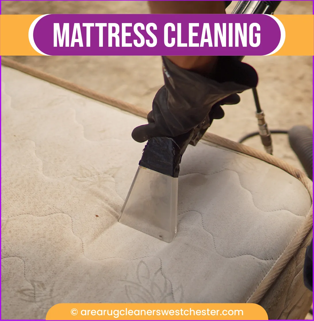 carpet cleaning in the westchester, carpet cleaning in the westchester, carpet cleaning the westchester, carpet cleaners in the westchester, carpet cleaners in the westchester, commercial carpet cleaning, commercial carpet cleaning in the westchester, the westchester rug cleaners, rug cleaning services in the westchester, same day carpet cleaning, same day rug cleaning