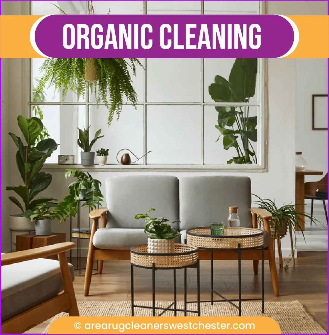 carpet cleaning in the westchester, carpet cleaning in the westchester, carpet cleaning the westchester, carpet cleaners in the westchester, carpet cleaners in the westchester, commercial carpet cleaning, commercial carpet cleaning in the westchester, the westchester rug cleaners, rug cleaning services in the westchester, same day carpet cleaning, same day rug cleaning