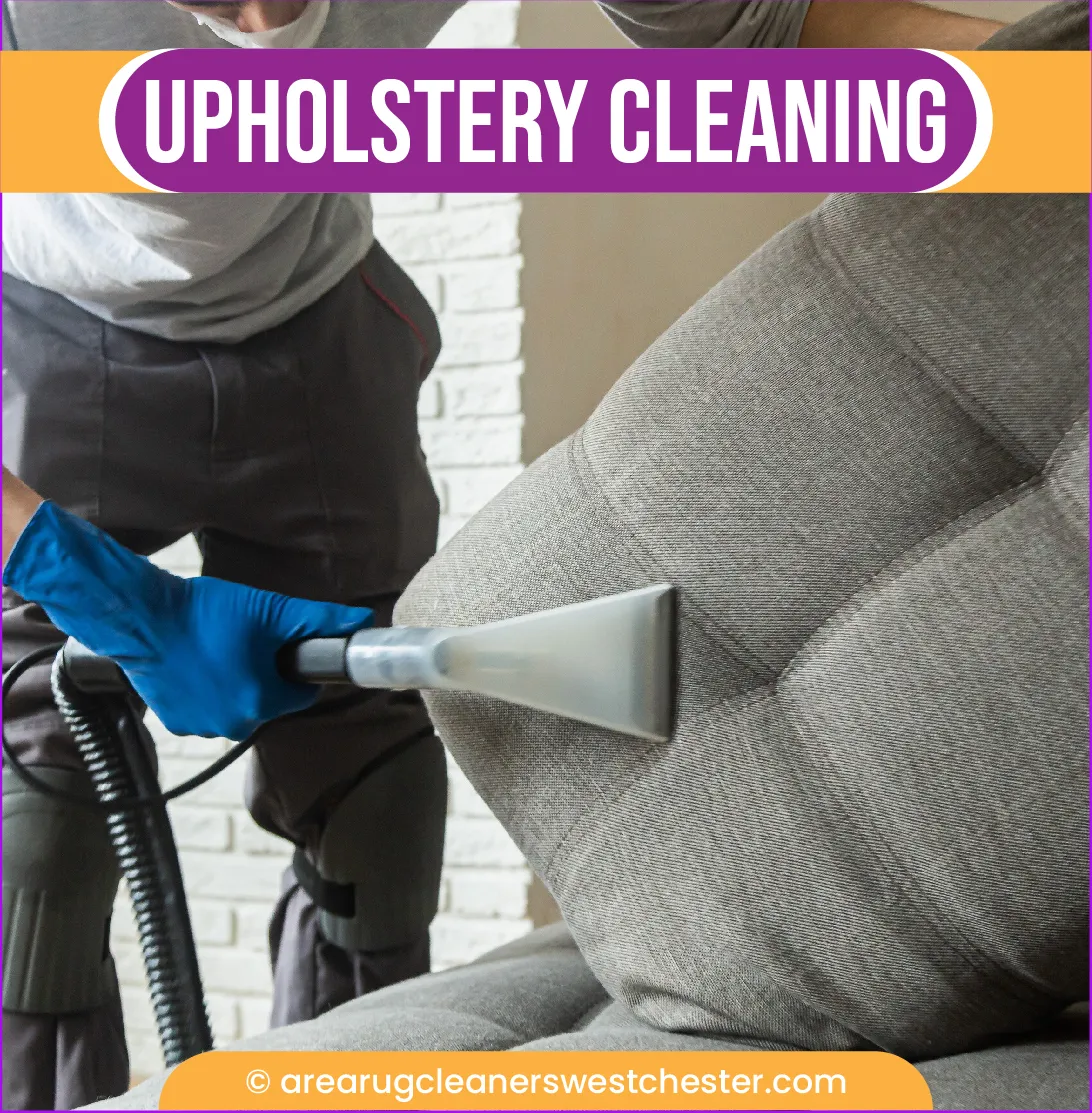 carpet cleaning in the westchester, carpet cleaning in the westchester, carpet cleaning the westchester, carpet cleaners in the westchester, carpet cleaners in the westchester, commercial carpet cleaning, commercial carpet cleaning in the westchester, the westchester rug cleaners, rug cleaning services in the westchester, same day carpet cleaning, same day rug cleaning