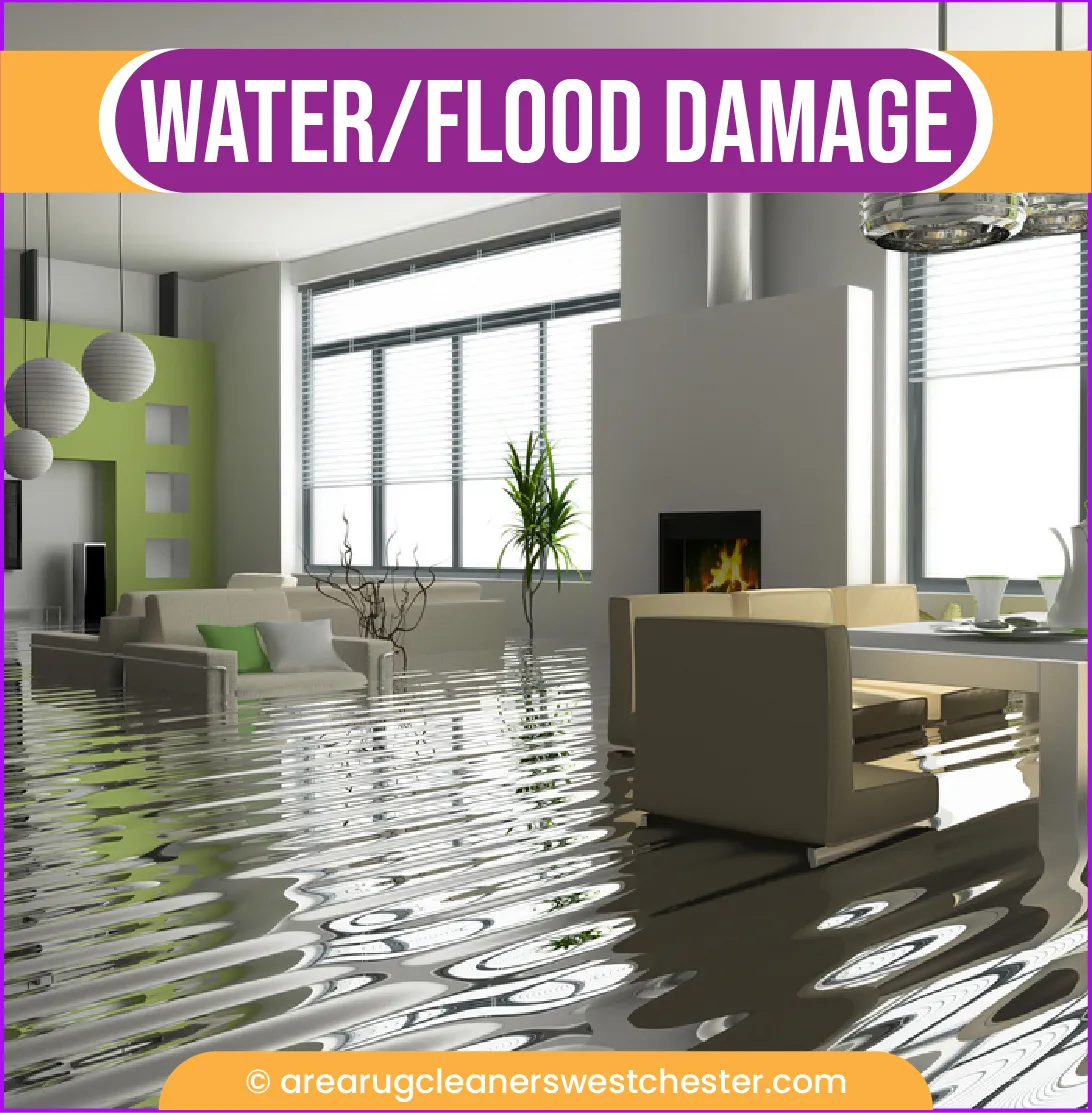 carpet cleaning in the westchester, carpet cleaning in the westchester, carpet cleaning the westchester, carpet cleaners in the westchester, carpet cleaners in the westchester, commercial carpet cleaning, commercial carpet cleaning in the westchester, the westchester rug cleaners, rug cleaning services in the westchester, same day carpet cleaning, same day rug cleaning